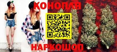 эйфоретик Усть-Джегута